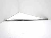 Vertikale Verkleidung an der vorderen linken Tür CITROËN C4 III (BA_, BB_, BC_) e-C4 (BCZKXC) 9830618580