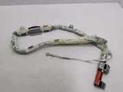 Dach SRS rechts NISSAN X-TRAIL (T31) 2.0 dCi