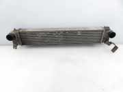 Ladeluftkühler FIAT SEDICI (FY_) 1.9 D Multijet 4x4 1362079J51