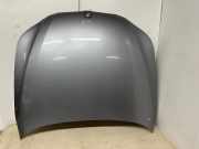 Motorhaube BMW 5er Touring (E61) 6917364