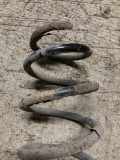Feder links hinten Citroen C8 (E)