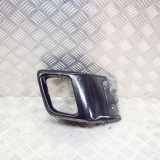 Auspuffblende Land Rover Range Rover Evoque I (L538) BJ3M5C202AA