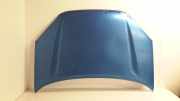 Motorhaube Toyota RAV 4 II (A2) 5330142030