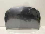 Motorhaube SUZUKI SX4 (EY, GY) 1.5 (RW 415)