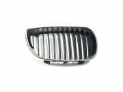 Vorderer oberer Gitter BMW 3 Touring (E91) 320 d 7128614 224059