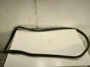 Türdichtung Volvo V50 (545)