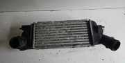 Ladeluftkühler PEUGEOT 407 (6D_) 2.0 HDi 135 9645682880 IA1095
