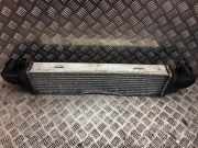 Ladeluftkühler Mercedes-Benz E-Klasse (W212) A2045000200