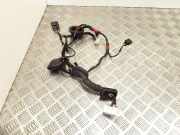 Kabel Tür Hyundai i30 II (GD) 91650A6020