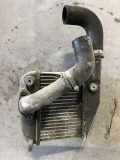 Ladeluftkühler NISSAN PRIMERA (P12) 1.9 dCi ETP9159