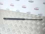 Gasfeder für Motorhaube VW Golf III Variant (1H)