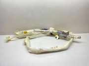 SRS Modul Dach links BMW 7 (E65, E66, E67) 730 Ld 30319165D