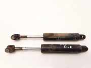 Heckklappe Gasdruckfeder rechts MERCEDES-BENZ Sedan (W123) 240 D (123.123) 1239800064