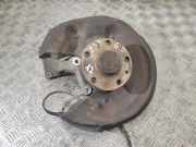 Radlagergehäuse rechts hinten VW Passat B7 Variant (365) 3C0505436F