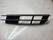 Gitter vorne unten AUDI Q7 (4L) 3.0 TDI quattro 4L0807681