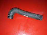 Schlauch Kühlung MERCEDES-BENZ CLK (C209) 270 CDI (209.316) 1518PCA1P 558001100