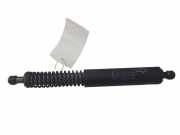 Heckklappe Gasdruckfeder links VOLVO V70 III (BW) D4 31217640