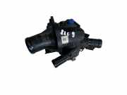 Thermostat RENAULT MASTER III Furgon (FV) 2.3 dCi 165 [RWD] 110604371R