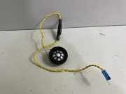 Türlautsprecher vorne rechts