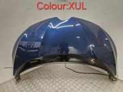 Motorhaube RENAULT GRAND SCÉNIC IV (R9_) 1.6 dCi 130