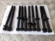 Zylinderkopfschraubensatz Kia Sorento I (JC)