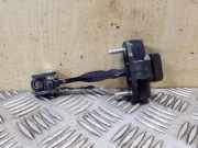 Türanschlag hinten links