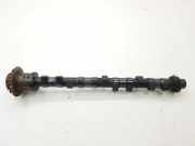 Auspuffkrümmer Maserati Quattroporte V () 190656