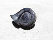 Hupe AUDI A4 (8E2, B6) 1.9 TDI 8E0951223