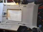 Dachverkleidung BMW X5 (E70) xDrive 35 i 205834PA