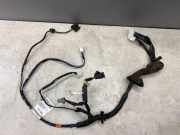 Kabel der vorderen linken Tür NISSAN PATHFINDER III (R51) 2.5 dCi 4WD 24125EB801