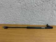 Gasfeder für Motorhaube Lexus RX 4 (L2) 534400E070