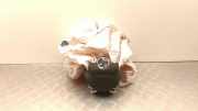 Lenkrad Airbag OPEL Crossland X (P17) (P17) 1.2 (75) 0589P1000202