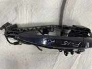 Türaußengriff hinten links BMW X5 (F15, F85) xDrive 30 d 7401211 7381873