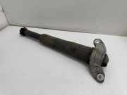 Stoßdämpfer hinten links JAGUAR F-PACE (X761) 2.0 AWD L8D218A145