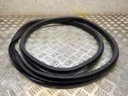 Türgummi links hinten Ford EcoSport ()