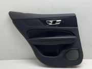 Türpolster hinten links VOLVO S60 III (224) B5 Mild-Hybrid 30747503