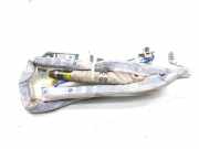 SRS Modul Dach links BMW 7 (F01, F02) 750 i 13B119ST0275 306272110