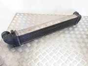 Ladeluftkühler MERCEDES-BENZ A (W169) A 180 CDI (169.007, 169.307) A1695000000