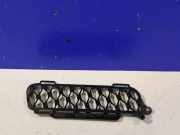 Gitter Grill vorne rechts