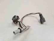 Xenon-Lampe NISSAN PRIMERA Hatchback (P12) 2.2 Di