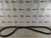 Türgummi links vorne Ford Transit Custom V362 Kasten (FY, FZ) BK21V20708AE