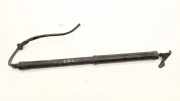 Heckklappe Gasdruckfeder rechts TOYOTA RAV 4 V (XA50) AWD Hybrid LE+ 2.5 68910-42060