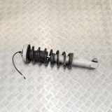 Stoßdämpfer hinten rechts BMW 6 (E63) M 2283067