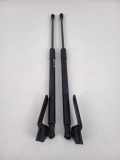 Heckklappe Gasdruckfeder links BMW 1 (F20) 125 d 7239871