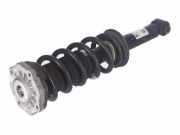 Stoßdämpfer hinten links