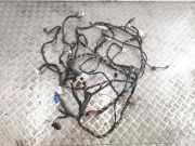 Kabelbaum NISSAN ALMERA TINO (V10) 1.8 YAAY05351936OF 240148U8J