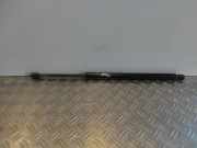 Heckklappe Gasdruckfeder links MERCEDES-BENZ M (W164) ML 280 CDI 4-matic (164.120) 1647400245