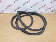 Türgummi rechts vorne BMW 3er Coupe (E92) 7119092