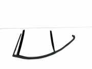 Türgummi links vorne Mercedes-Benz C-Klasse (W204) A2047250125