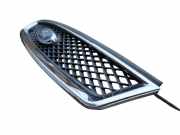 Ziergitter Ford Focus II (DA, DP, HCP) 4M518138AE
